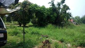 Land for sale in Ngio Rai, Phichit