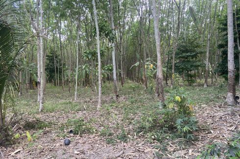 Land for sale in Maenam Khu, Rayong