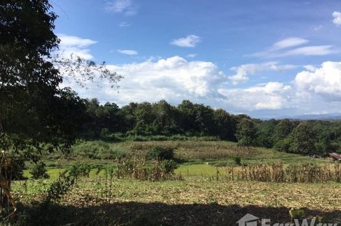 Land for sale in Pha Sing, Nan