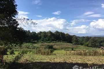 Land for sale in Pha Sing, Nan