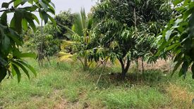 Land for sale in Don Yai Hom, Nakhon Pathom