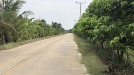 Land for sale in Don Yai Hom, Nakhon Pathom