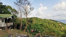 Land for sale in Ko Tao, Surat Thani