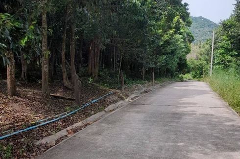 Land for sale in Ko Tao, Surat Thani