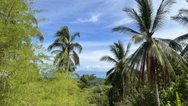 Land for sale in Ban Tai, Surat Thani