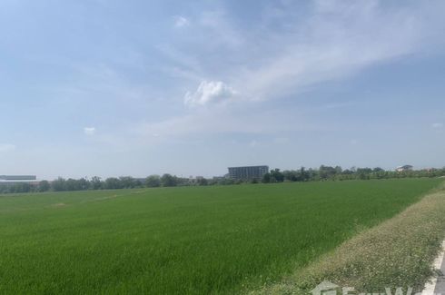 Land for sale in Lahan, Nonthaburi