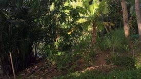 Land for sale in Bang Sai, Surat Thani