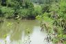 Land for sale in Oraphim, Nakhon Ratchasima