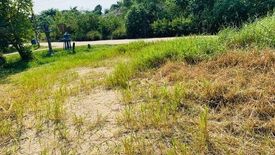 Land for sale in Pak Chong, Nakhon Ratchasima