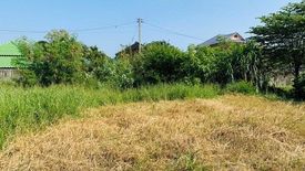 Land for sale in Pak Chong, Nakhon Ratchasima