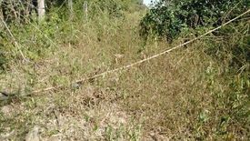 Land for sale in Na Klang, Nakhon Ratchasima