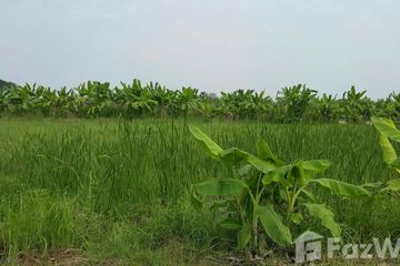 Land for sale in Lam Phak Kut, Pathum Thani