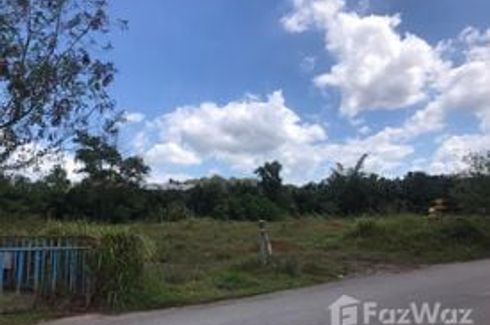 Land for sale in Makham Tia, Surat Thani