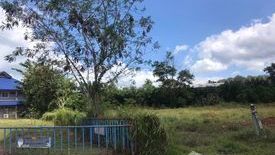 Land for sale in Makham Tia, Surat Thani