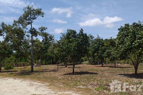 Land for sale in Na Ta Khwan, Rayong