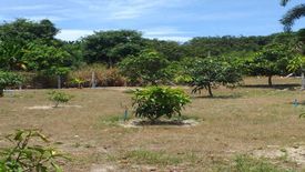 Land for sale in Na Ta Khwan, Rayong