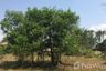 Land for sale in Klaeng, Rayong