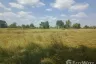 Land for sale in Pho Chai, Khon Kaen