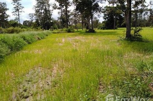 Land for sale in Kut Phia Khom, Khon Kaen