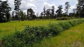 Land for sale in Kut Phia Khom, Khon Kaen