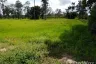 Land for sale in Kut Phia Khom, Khon Kaen