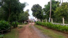 Land for sale in Ko Chang, Trat