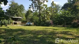 Land for sale in Pa Pae, Chiang Mai