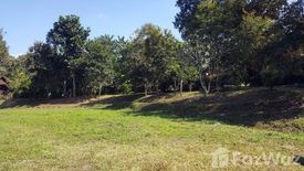 Land for sale in Pa Pae, Chiang Mai