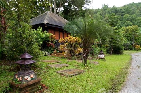 Land for sale in Pa Pae, Chiang Mai