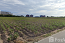 Land for sale in Phla, Rayong