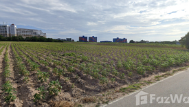 Land for sale in Phla, Rayong