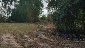 Land for sale in Samnak Thon, Rayong