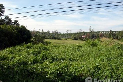 Land for sale in Wang Krachae, Trat