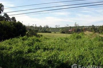 Land for sale in Wang Krachae, Trat