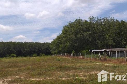 Land for sale in Na Ta Khwan, Rayong