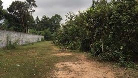 Land for sale in Sai Mun, Ubon Ratchathani