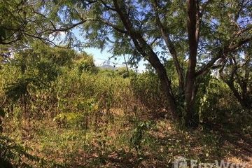 Land for sale in Tha Li, Loei