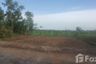 Land for sale in Bueng Ba, Pathum Thani