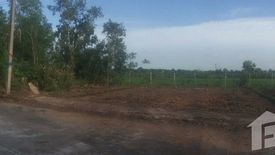 Land for sale in Bueng Ba, Pathum Thani