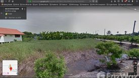 Land for sale in Ngio Rai, Nakhon Pathom