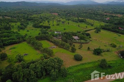 Land for sale in Khilek, Chiang Mai