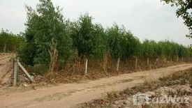 Land for sale in Nai Mueang, Khon Kaen