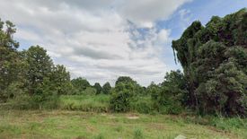 Land for sale in Bua Ban, Kalasin