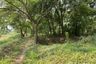 Land for sale in Tha Chanuan, Chainat