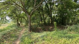 Land for sale in Tha Chanuan, Chainat