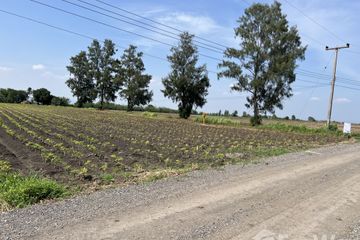 Land for sale in Dong Din Daeng, Lopburi