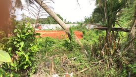 Land for sale in Rusa Milae, Pattani