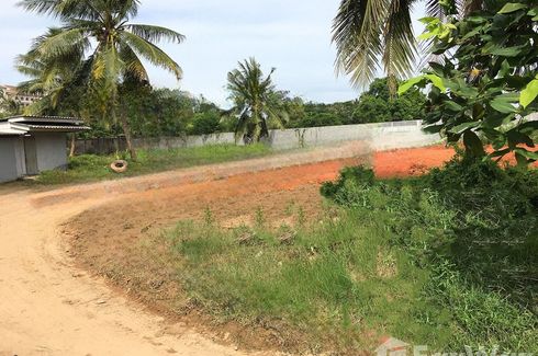 Land for sale in Rusa Milae, Pattani