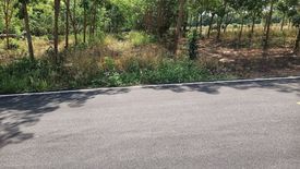 Land for sale in Krachai, Yasothon