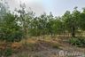 Land for sale in Krachai, Yasothon